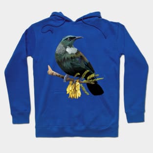 Tui In A Kōwhai Tree Hoodie